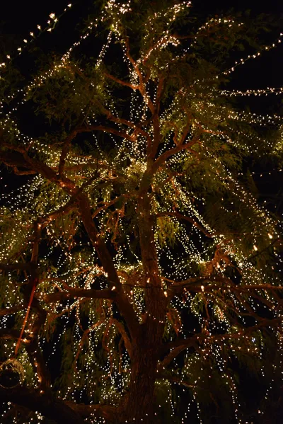 DSC_5811 (Large).JPG